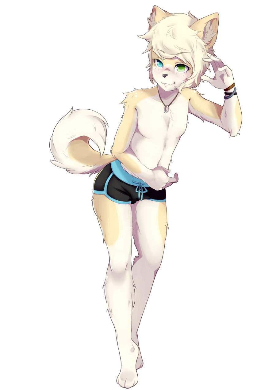 Furry Femboy – Telegraph