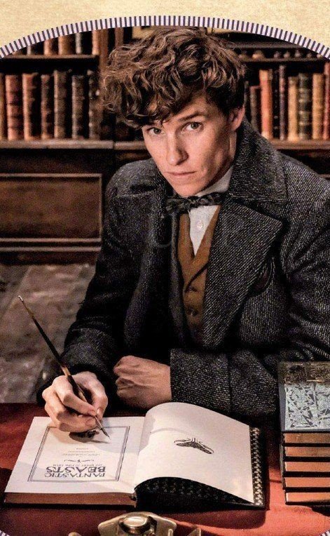 Newt Scamander Wiki Utkuniversidade Kuronatusuki Amino 1929