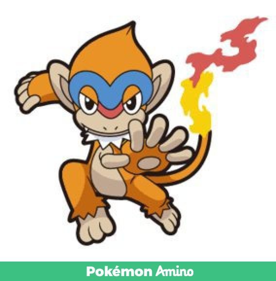 Monferno Wiki Pokémon Amino.