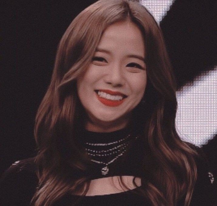 Jisoo Wiki ᭧ ⃟᥉ｲꪖꧏꧏꪗ ꪀ᭨๋ᧁꫝｲᏪ🐝۪۪ꪳ ⃜𔗏᪶𔗎᪶ Amino