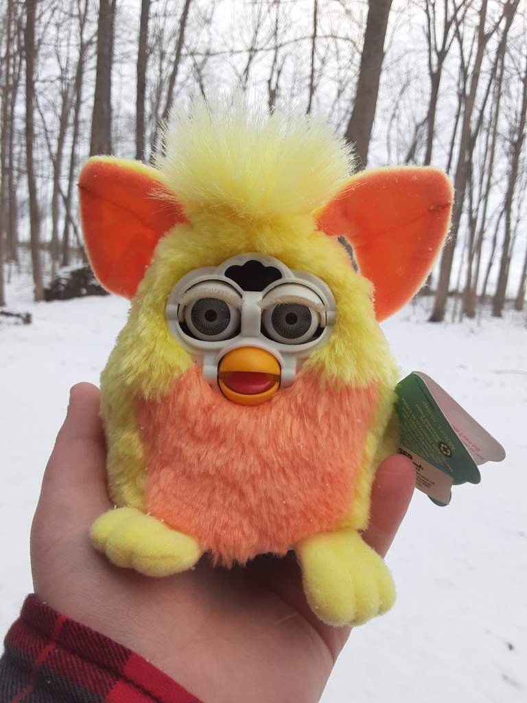 snowball furby
