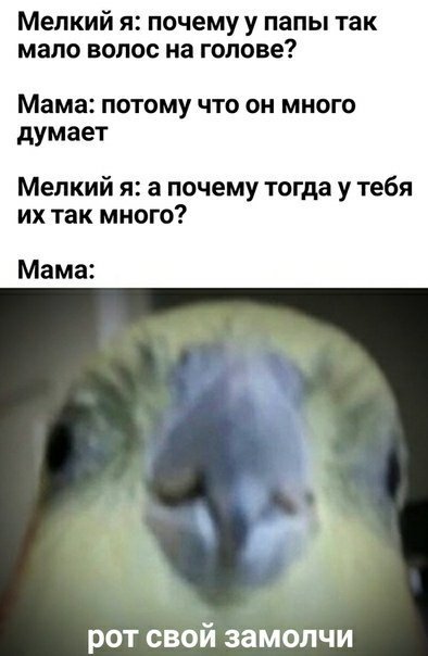 мемес | Мемы Amino Amino