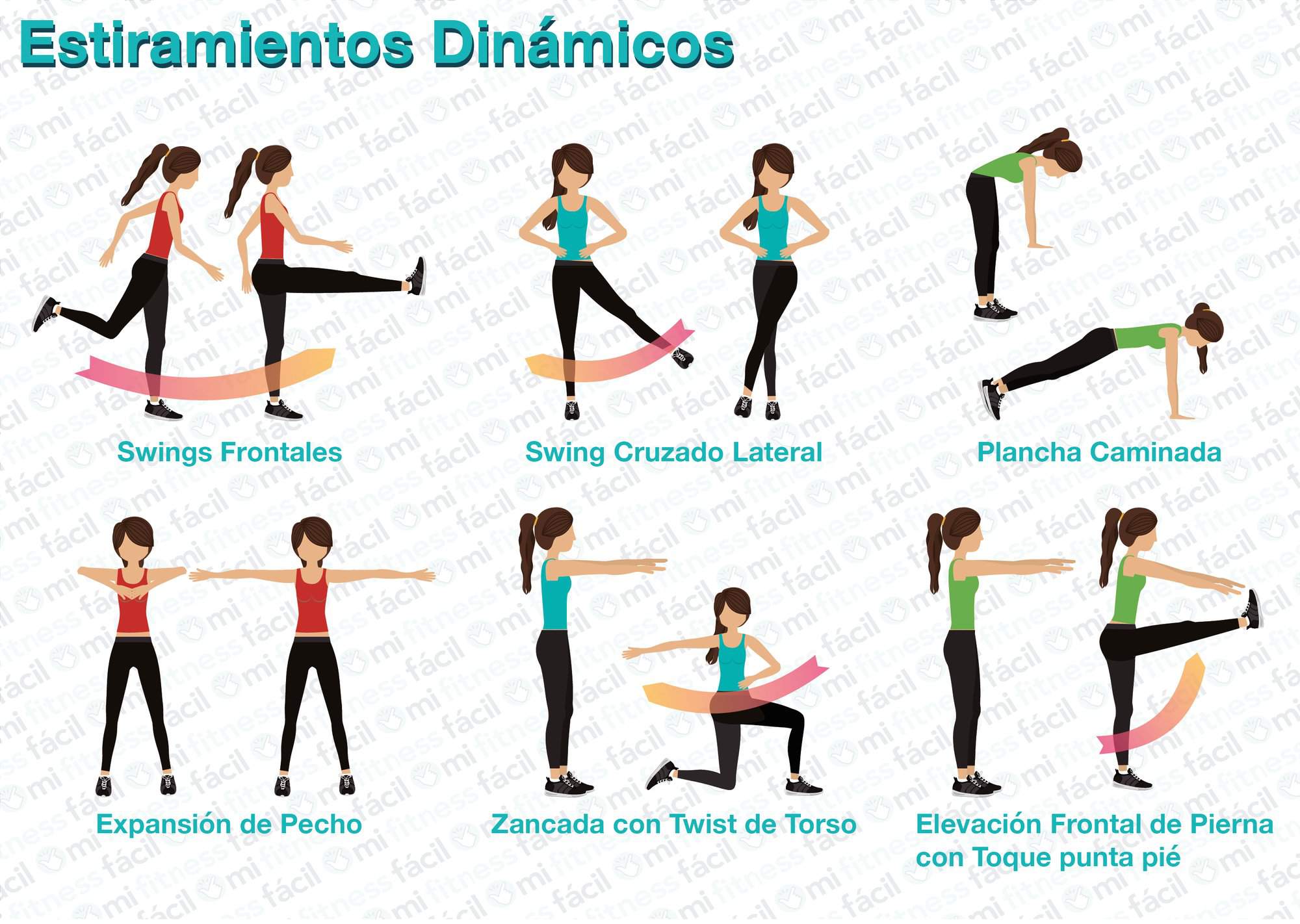 ғʟᴇxɪʙɪʟɪᴅᴀᴅ ʏ ᴇsᴛɪʀᴀᴍɪᴇɴᴛᴏs Salud And Fitness Amino Amino