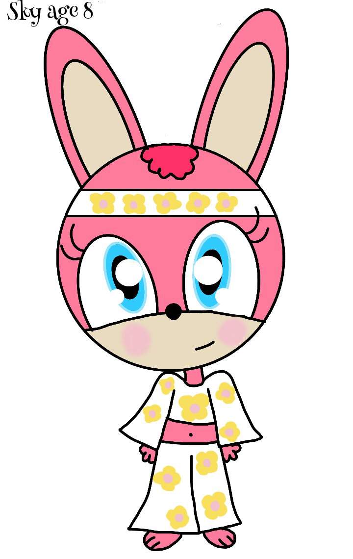 Sky The Rabbit Wiki Sonic Rpandart Amino