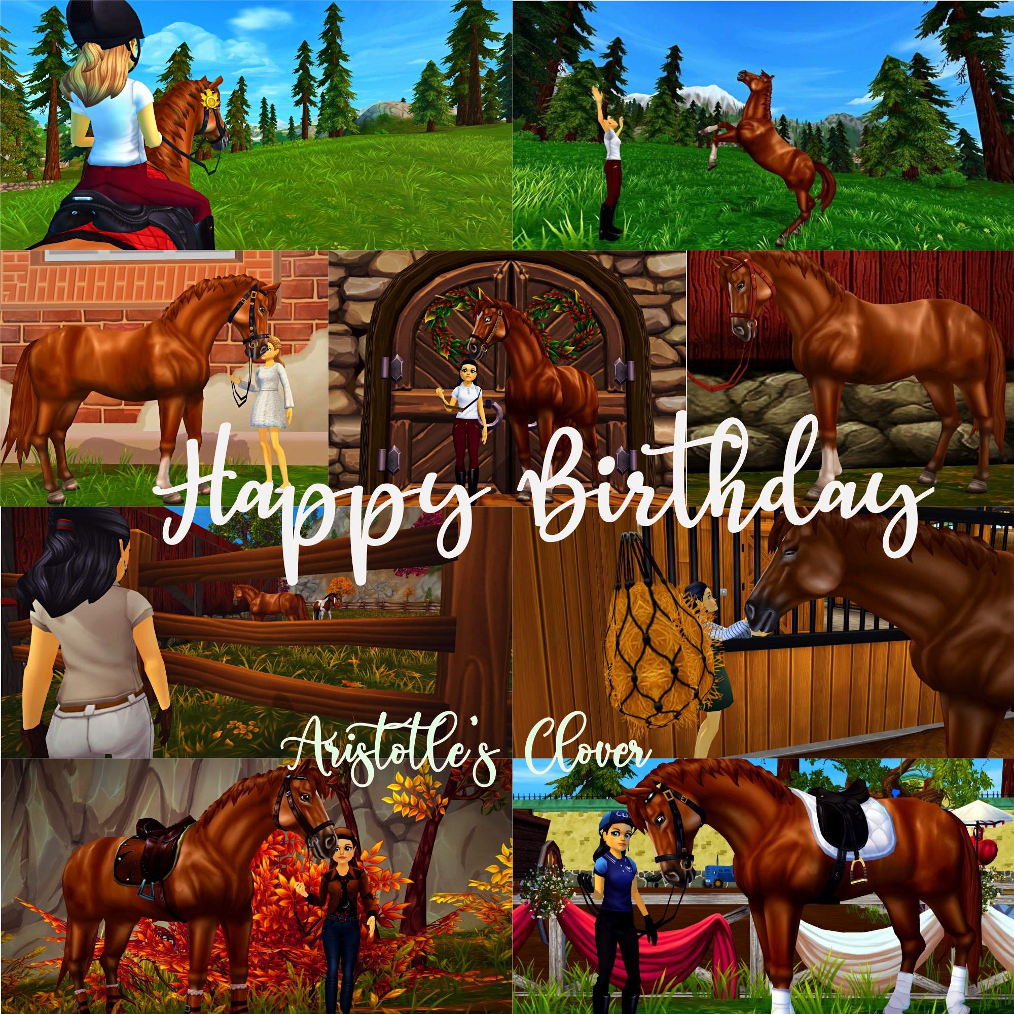 Happy Birthday!! 🐴☘️ | Star Stable Online Amino