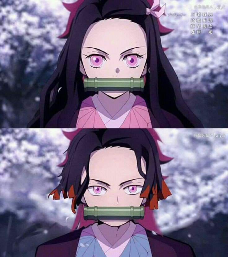 Algunos Personajes De Kny Con Su Versión Del Sexo Opuesto • Kimetsu No Yaiba Amino • Amino 1993