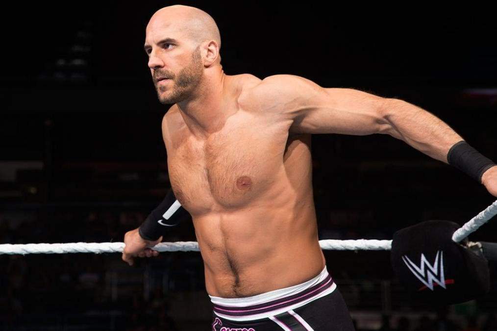 salvie Disse fødselsdag How I would book: Cesaro becoming WWE Champion - Part 1 | Wrestling Amino