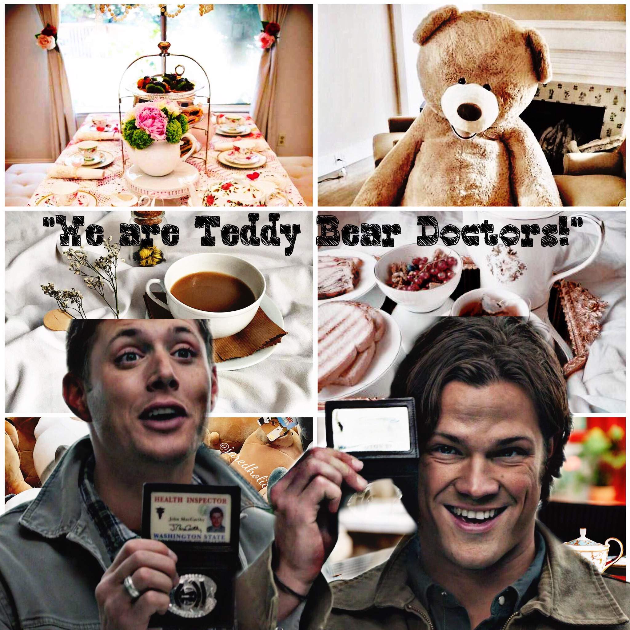 Teddy Bear Doctors Edit Supernatural Amino