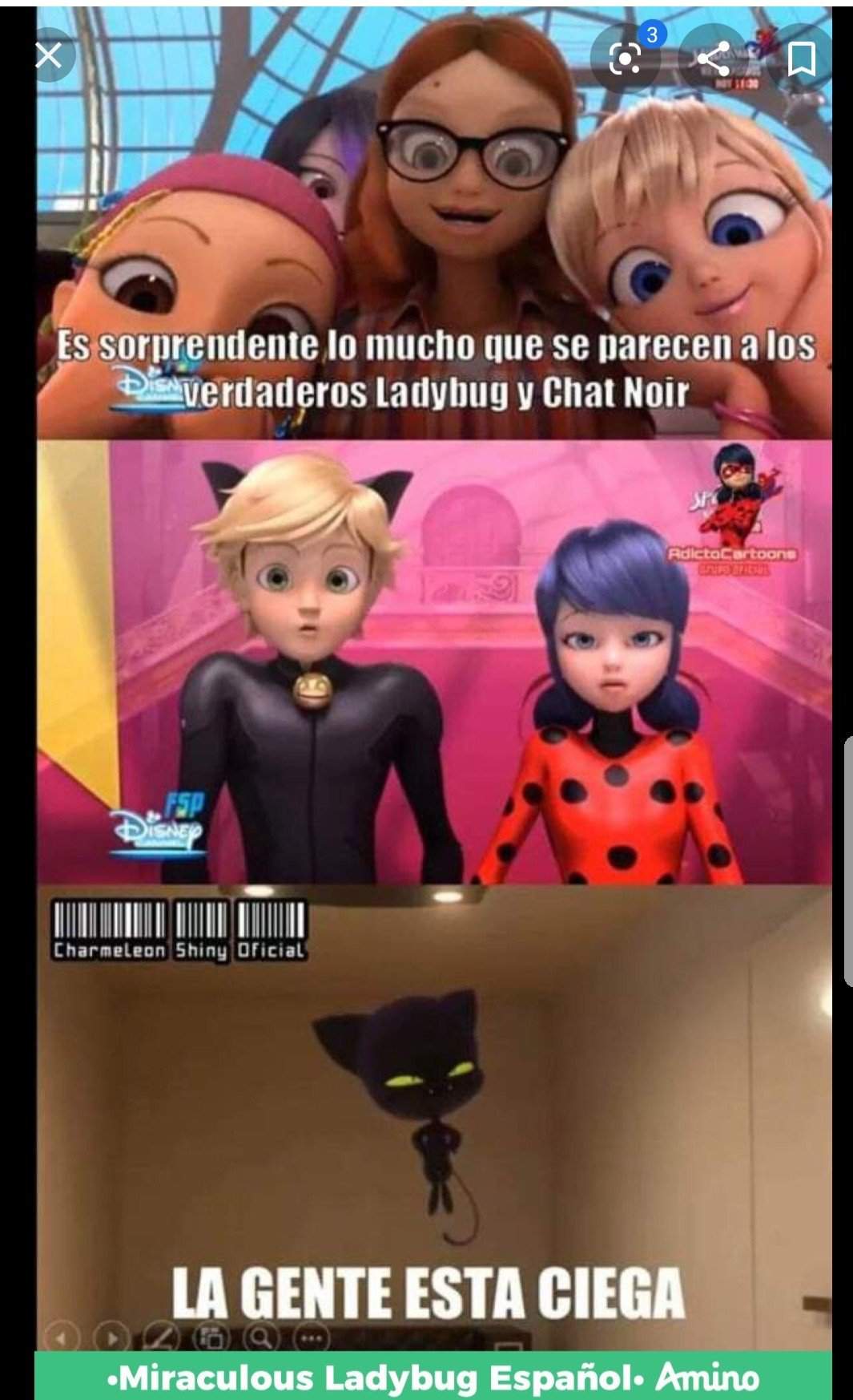 Memes Miraculous Miraculous Ladybug Espa Ol Amino