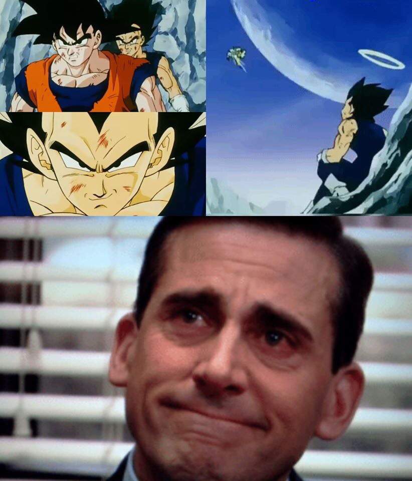 Y Entonces Mientras Goku Peleaba Con Majin Boo Vegeta Dijo T Puedes