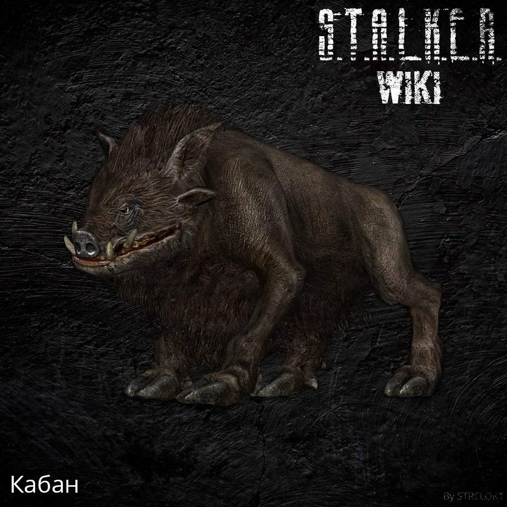 Кабан | Wiki | S.T.A.L.K.E.R Сердце Зоны Amino