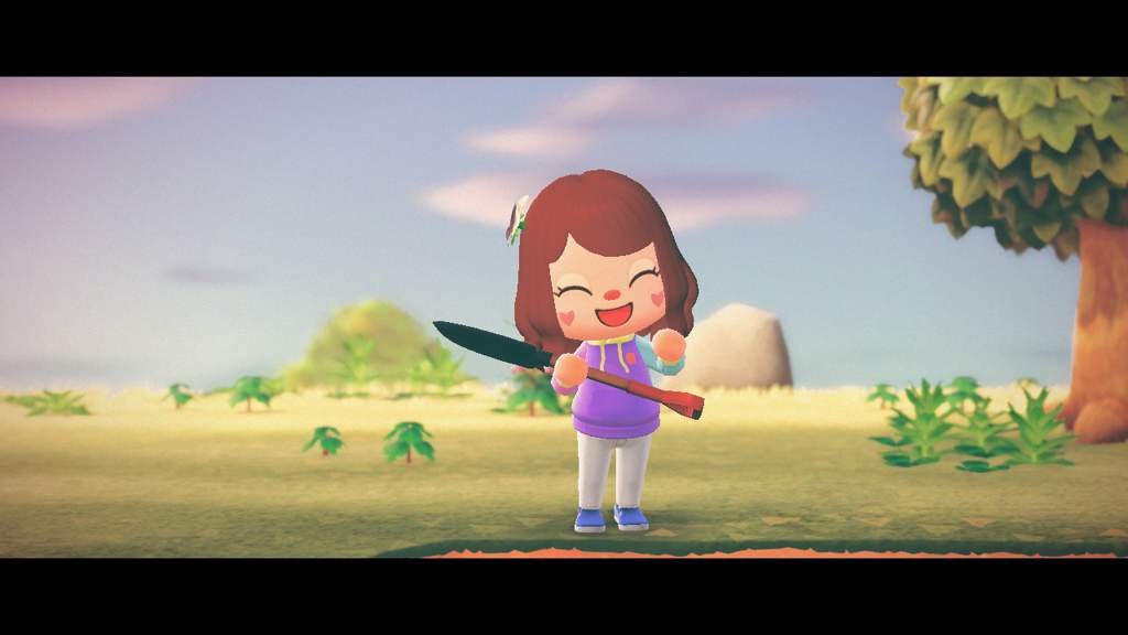 Photos tutorial Animal Crossing Amino