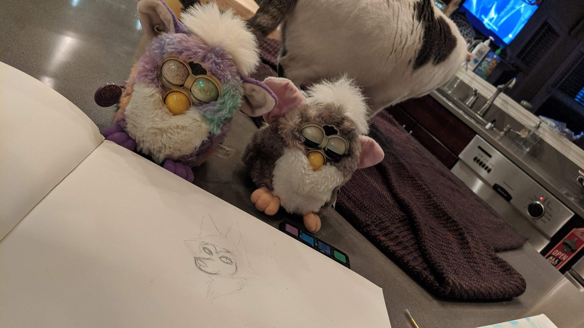 Drawing beastars with the boys Furby Amino