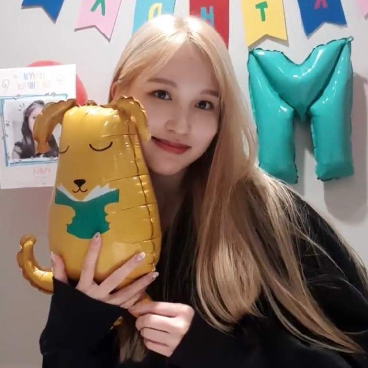 golden penguin plush