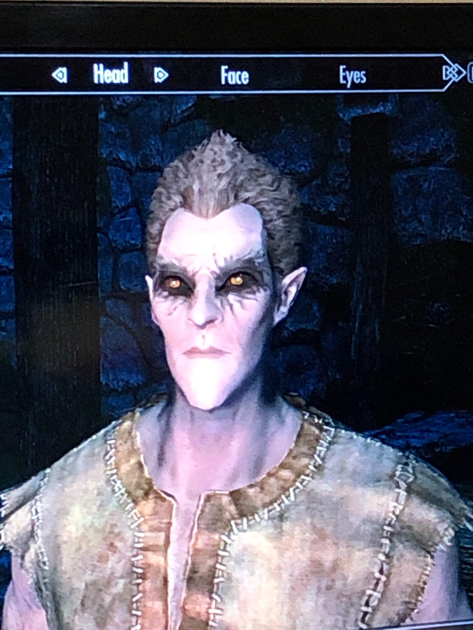 should-i-do-a-wood-elf-play-through-with-a-twist-skyrim-amino