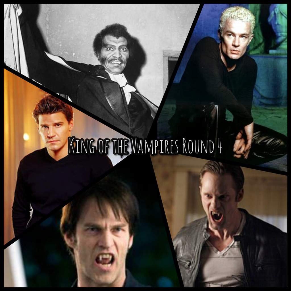 King Of The Vampires Round 4 Horror Amino