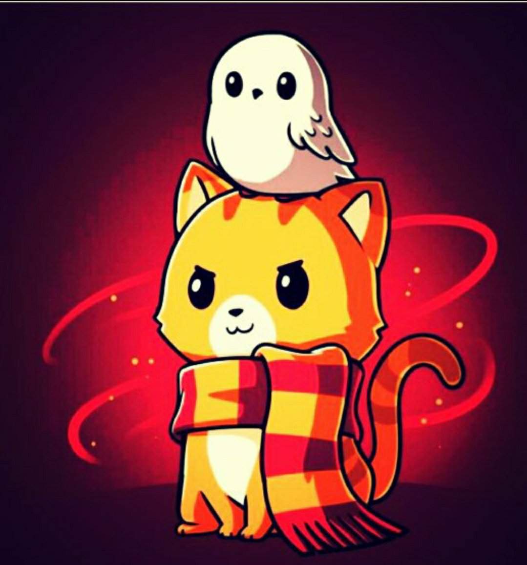 Gatitos De Howarts | Wiki | •Harry Potter• Español Amino