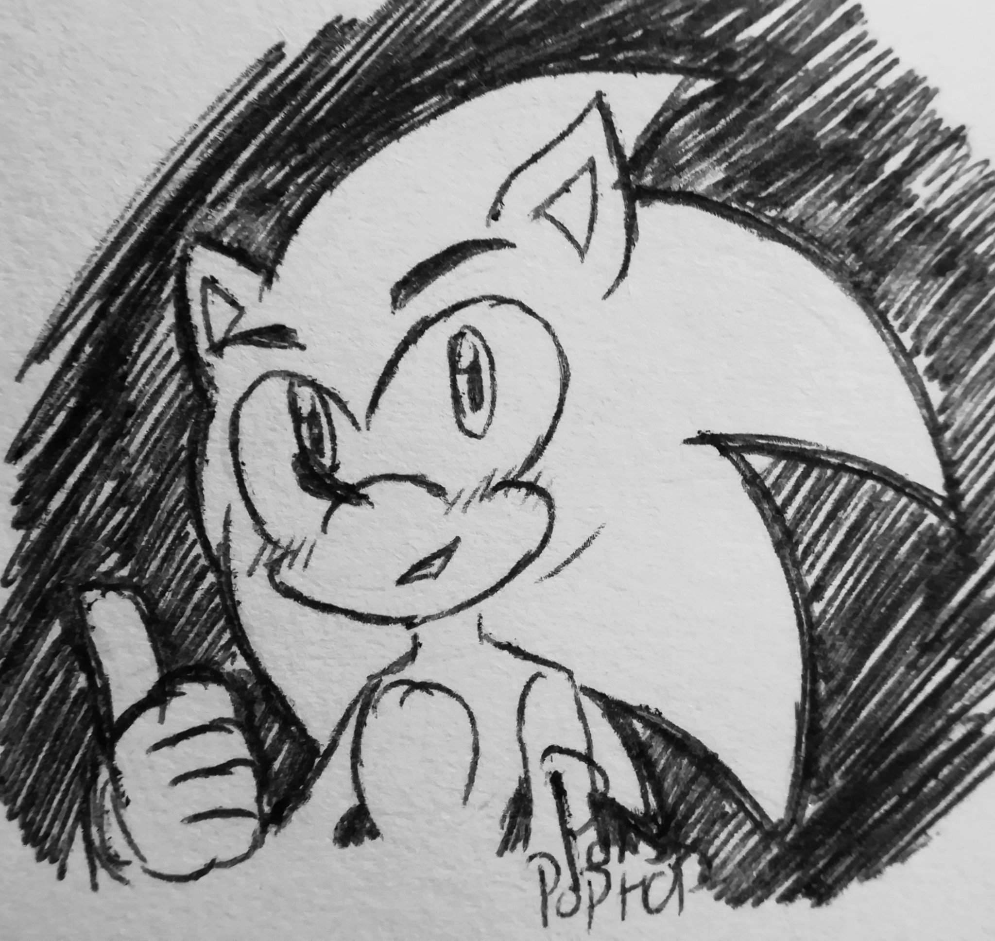 Sonic The Hedgehog Fan Art Sonic The Hedgehog Amino 