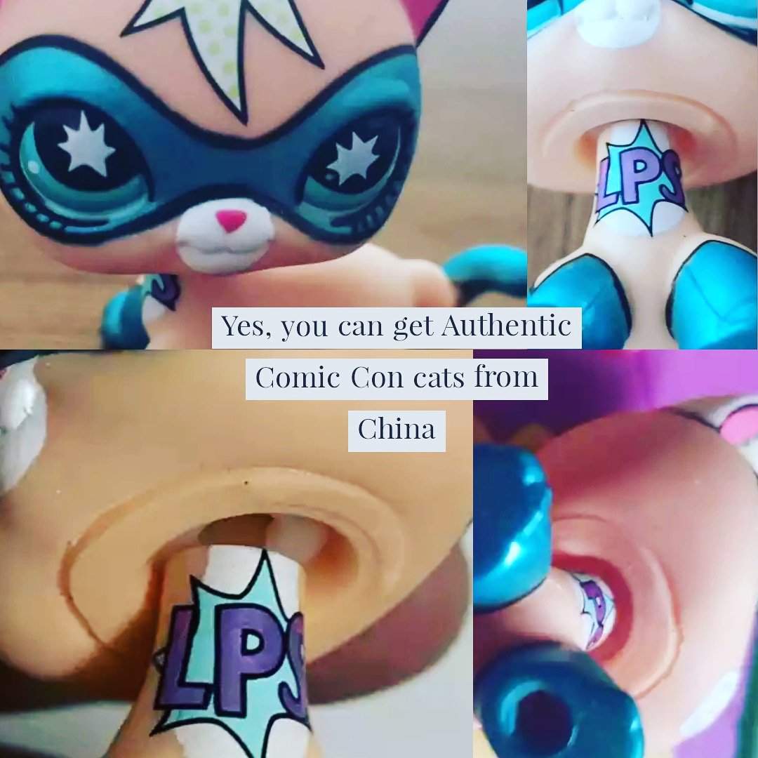 lps comic con cat in box