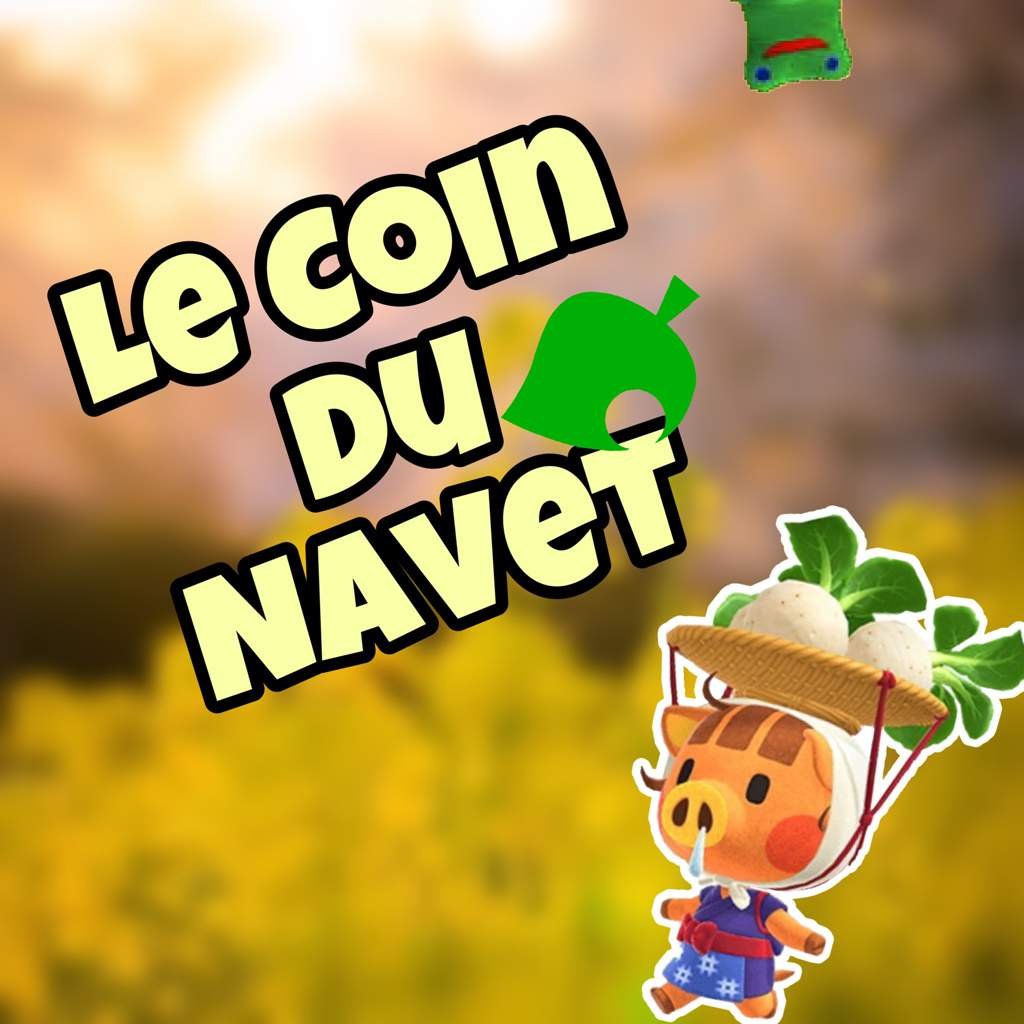 Le Coin Du Navet Wiki Animal Crossing New Horizons🏝 Amino