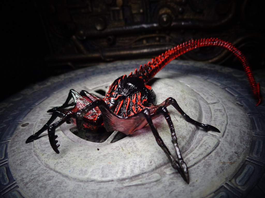 Queen facehugger Wiki Alien Versus Predator Universe Amino