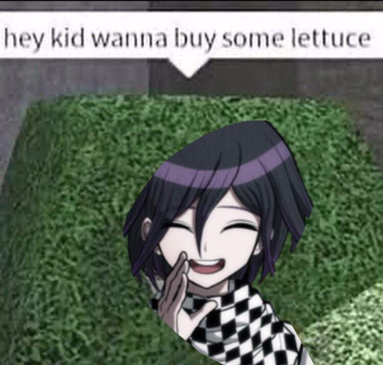 Kinda Just Put Kokichi Into This Meme Danganronpa Amino