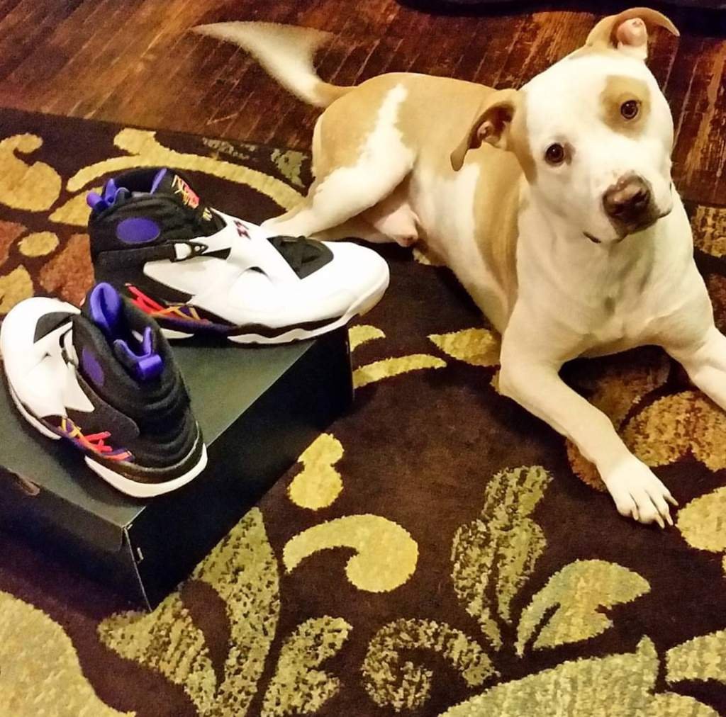 drippy air jordans