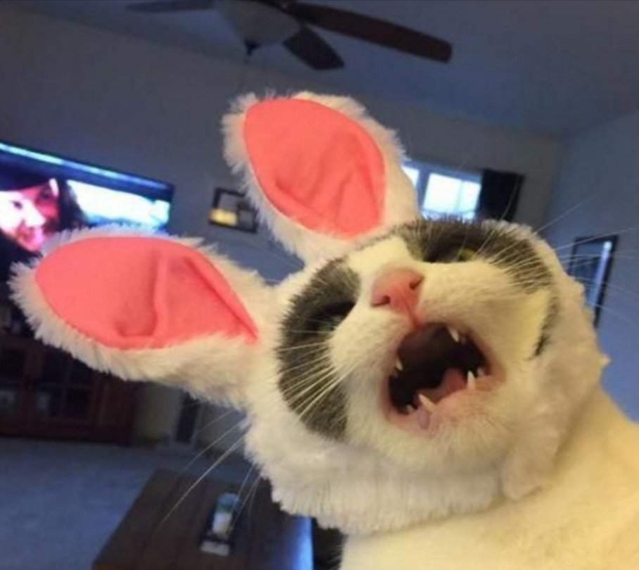 Аниматор в костюме кролика жарит в киску красотку с розовыми ушками на голове