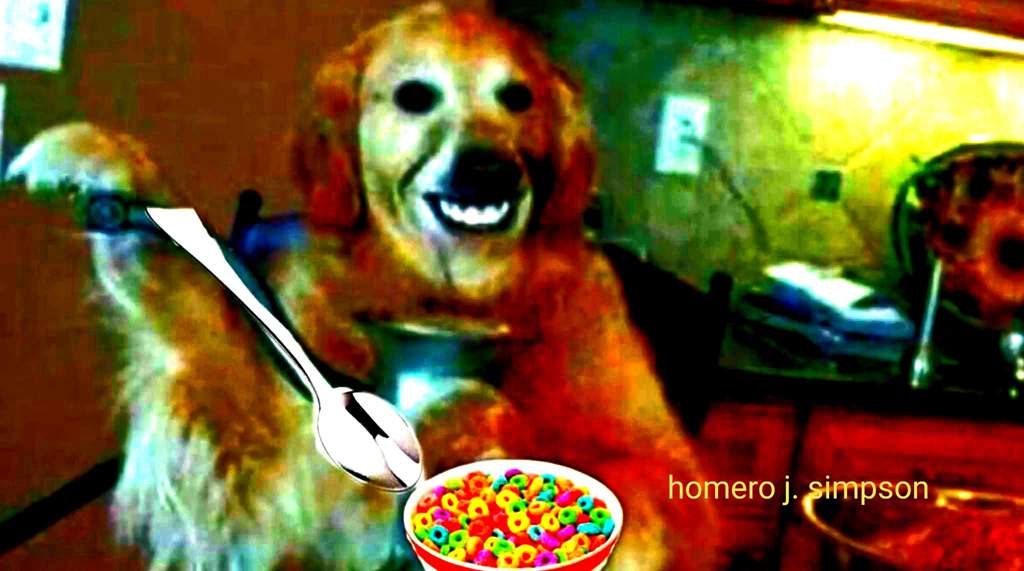 Perros comiendo cereales con cuchara editz Memes Amino Español Amino