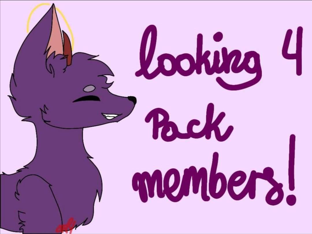 searching-for-pack-members-wolf-pack-amino-amino