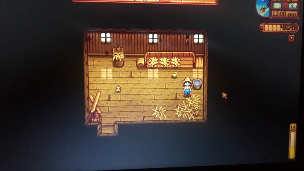 MY CHICKENS!!! 20+ Kpop Fans Amino