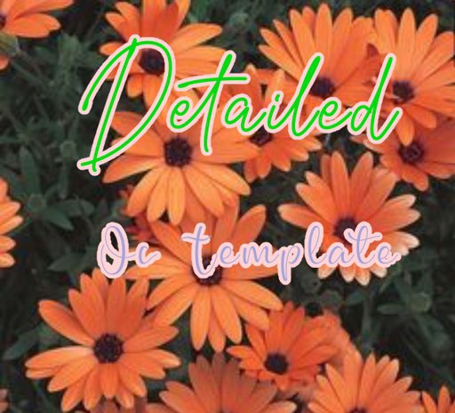 Detailed OC Template | Wiki | Templates and stuff Amino