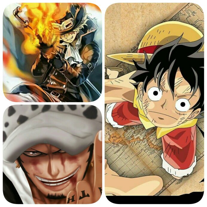 Wiki One Piece Arabic Amino