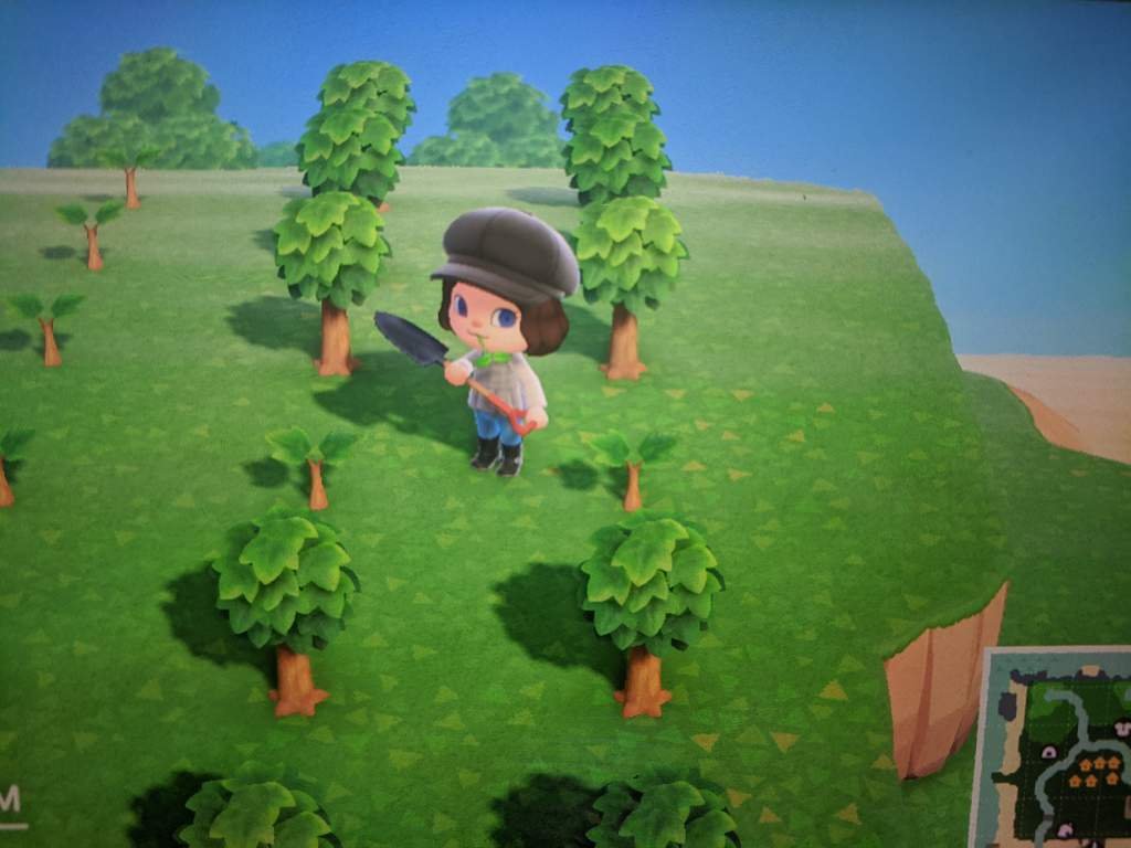 Not growing? Animal Crossing Amino