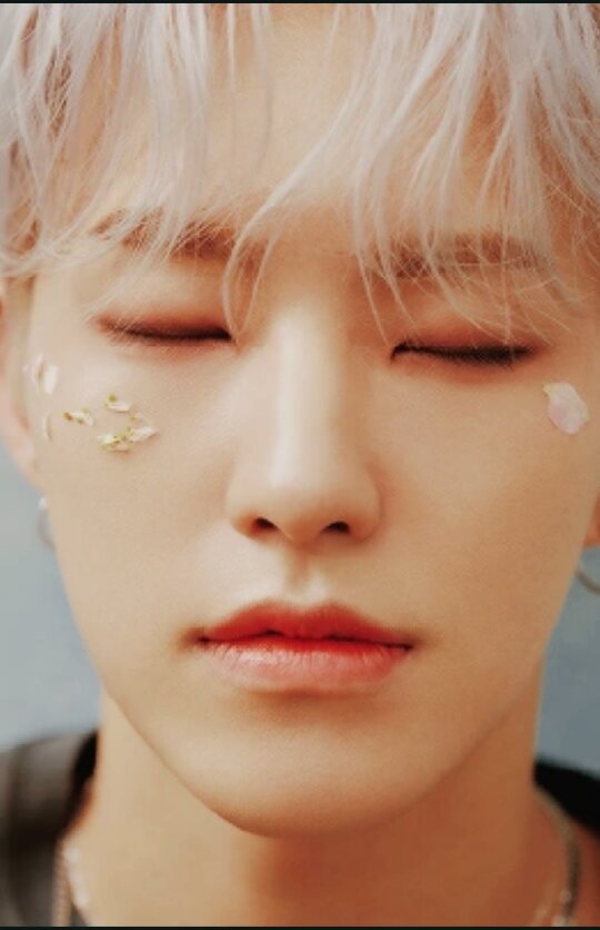 Hoshi Wiki Seventeen Espa Ol Amino