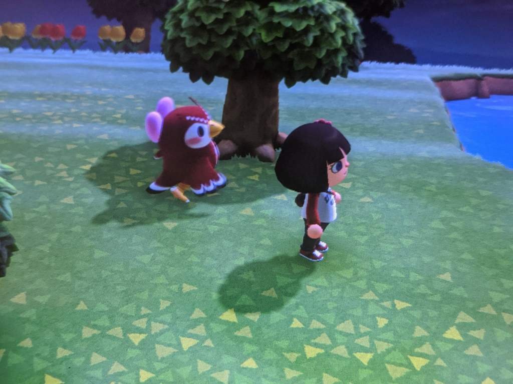 I Can't Find Celeste On My Island at John Davenport blog