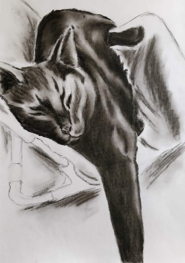 The cat at work (support cat) | Art Amino