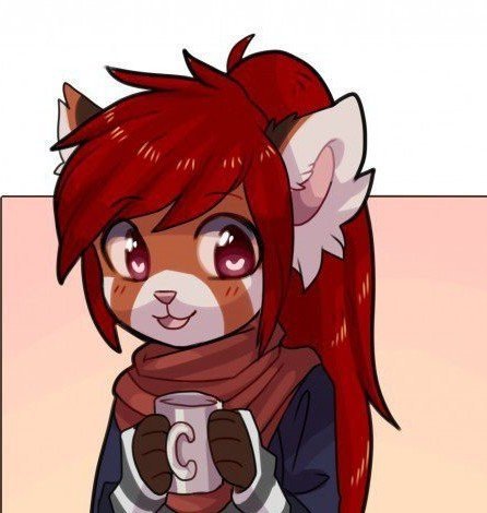 Анкета | Wiki | 🍐🌺Фурри🌺🍐 Amino