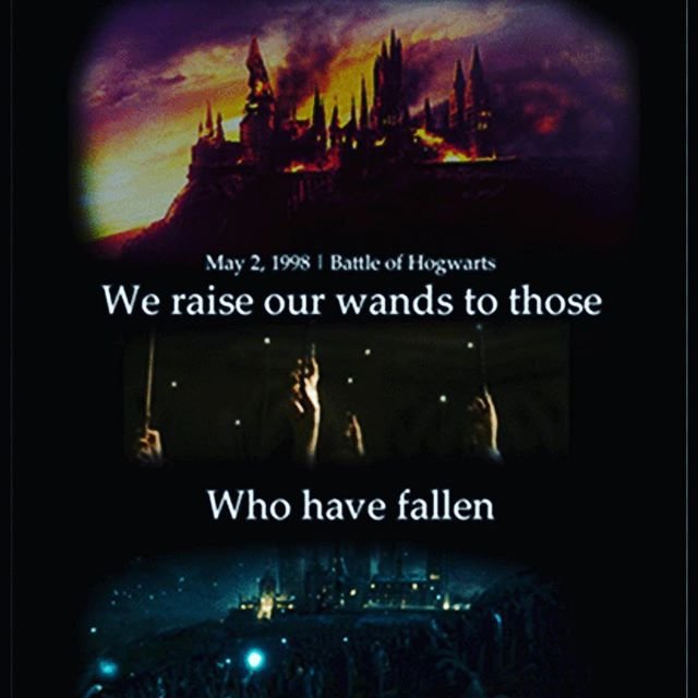 International Harry Potter day FallenWarrior Harry Potter Amino