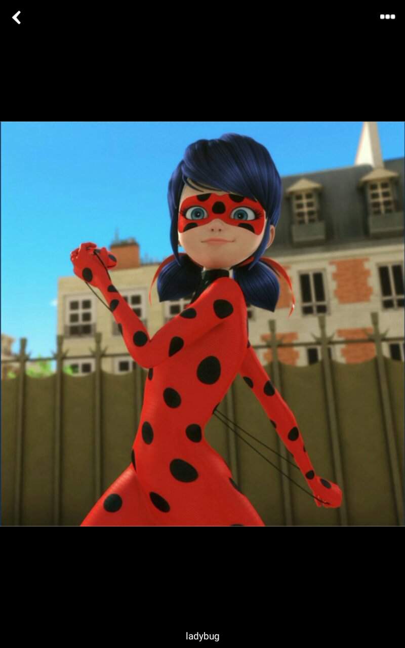 Ladybug Miraculous Ladybug FR Amino