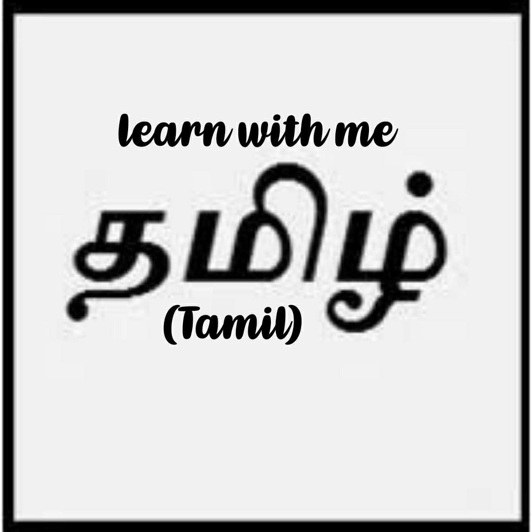 learn-tamil-with-me-studying-amino-amino