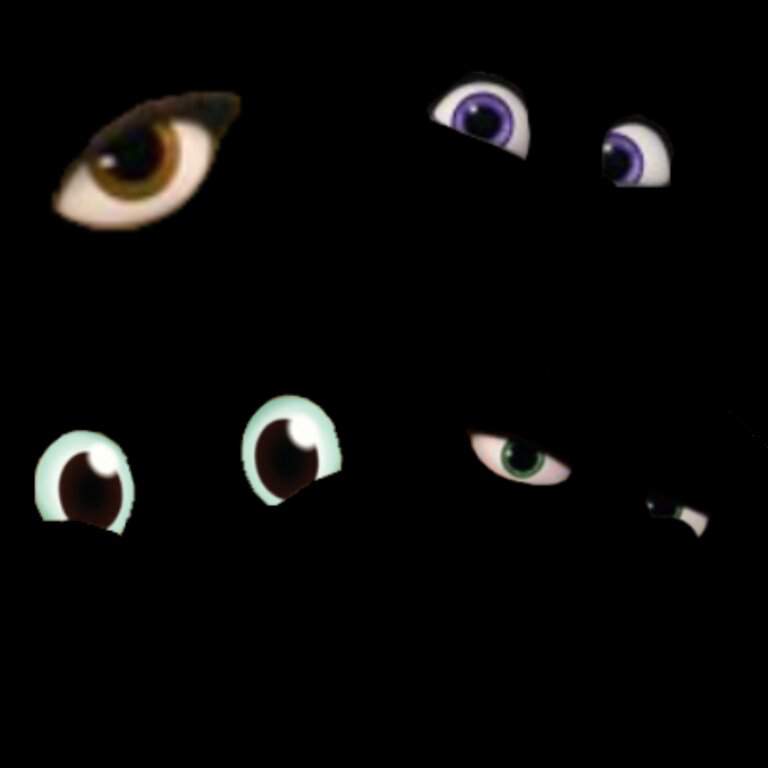 tiger eyes in the dark