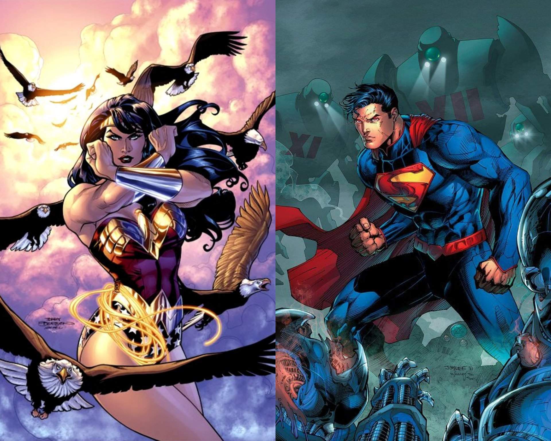 Wonder Woman Vs Superman Read Rules Battle Arena Amino Amino 