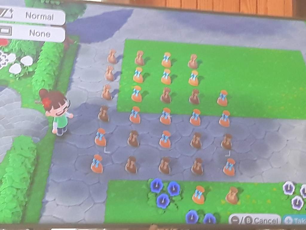 Mystery Bags Closed Animal Crossing New Horizons Amino