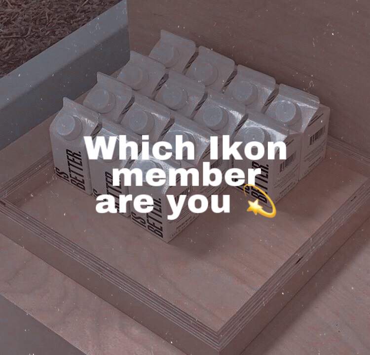 You which ikon member are [BREAKING] iKON's