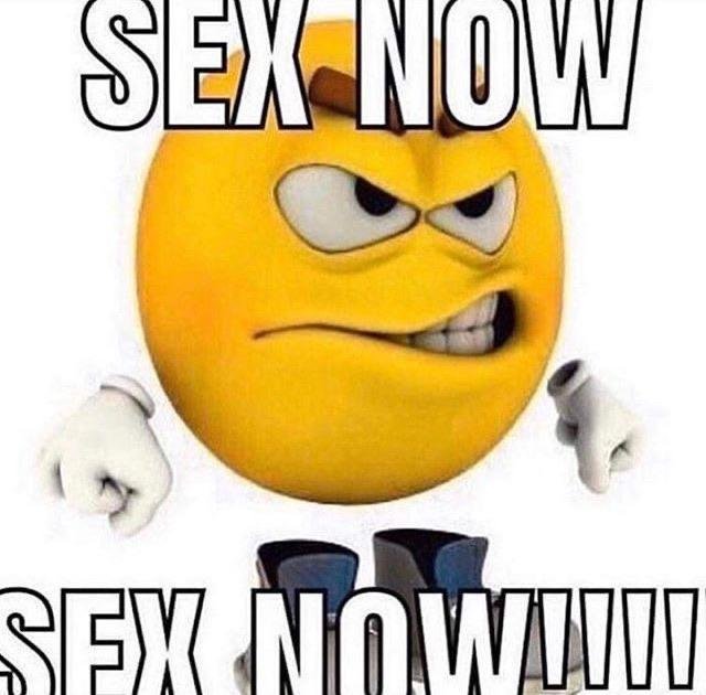Sex Now Sex Now Dank Memes Amino