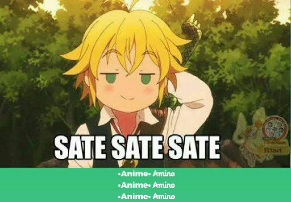 Sate sate sate | •Anime• Amino
