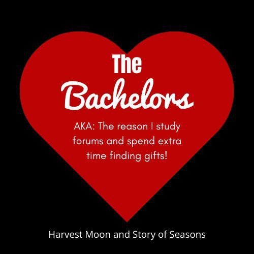 story of seasons wonderful life bachelors