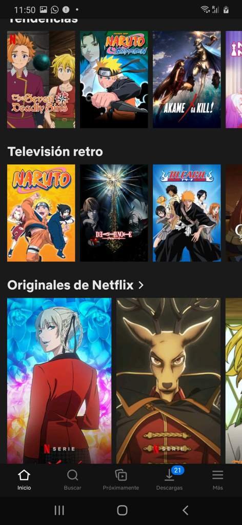ANIMES DE NETFLIX | •Anime• Amino