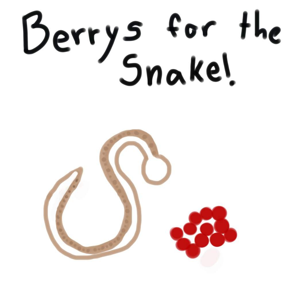 Berries for the snake! Wiki Moonkitti Amino